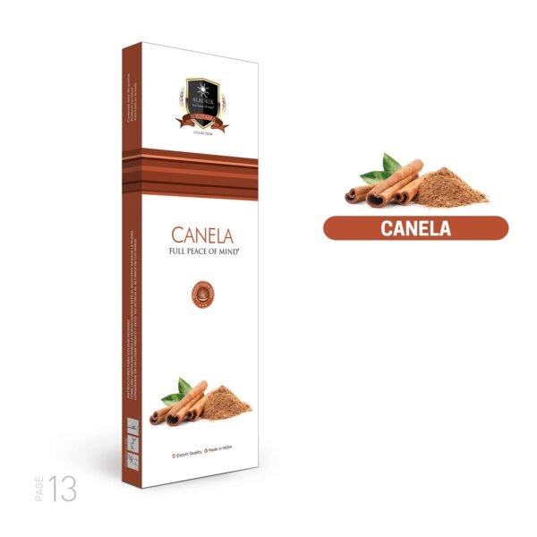 ALAUKIK - CANELA DRY MASSALA 90gr